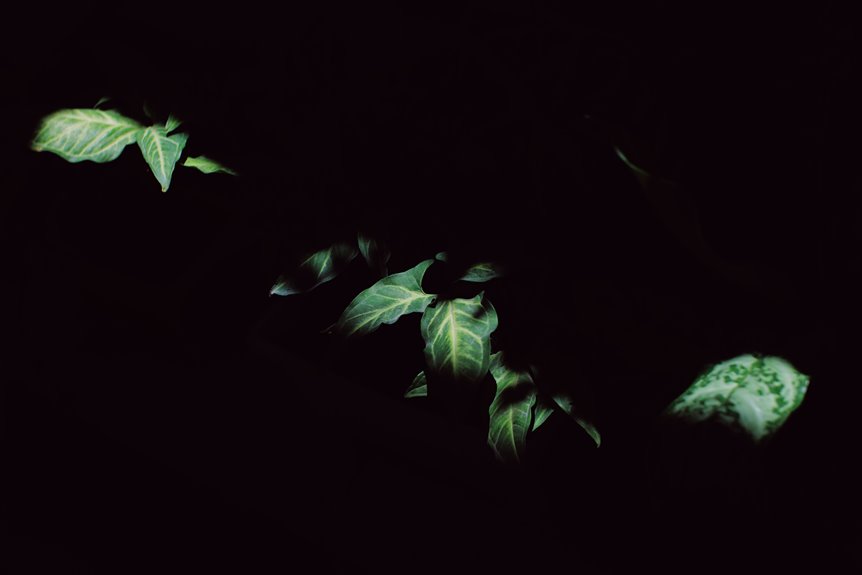 do plants respond to leds