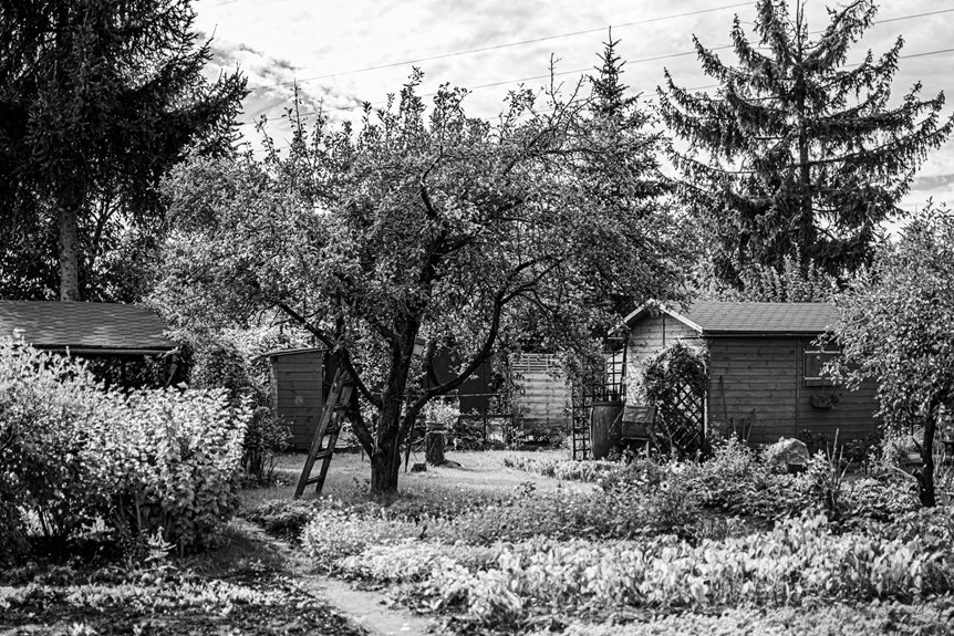small garden shed in seven steps