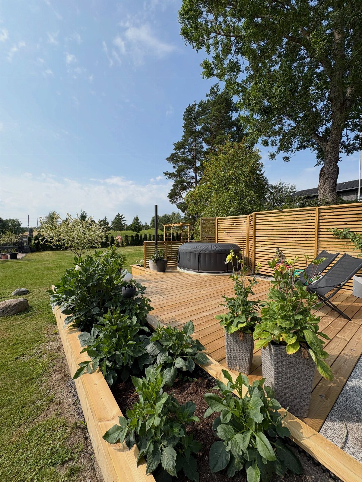 Green leafy plants growing in a built-in wooden planter box on a sunny deck.