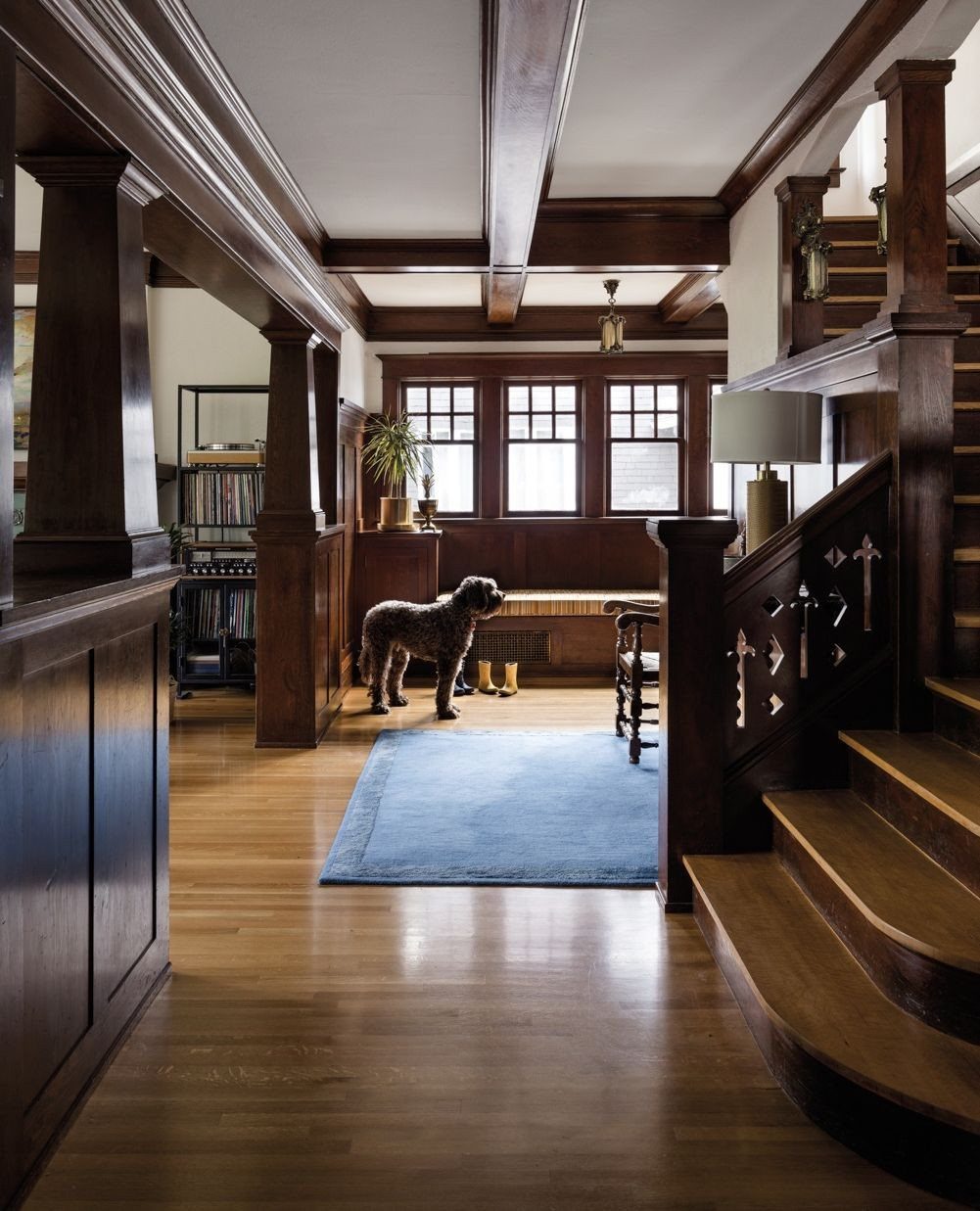 A brown dog stands on a blue rug in a craftsman style room with dark wood paneling.