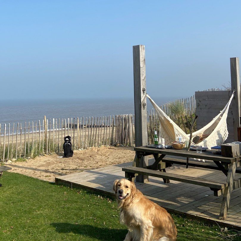 17 Beach House Deck Ideas for Oceanfront Living 10 A white hammock hangs between wooden posts on a deck overlooking the ocean.