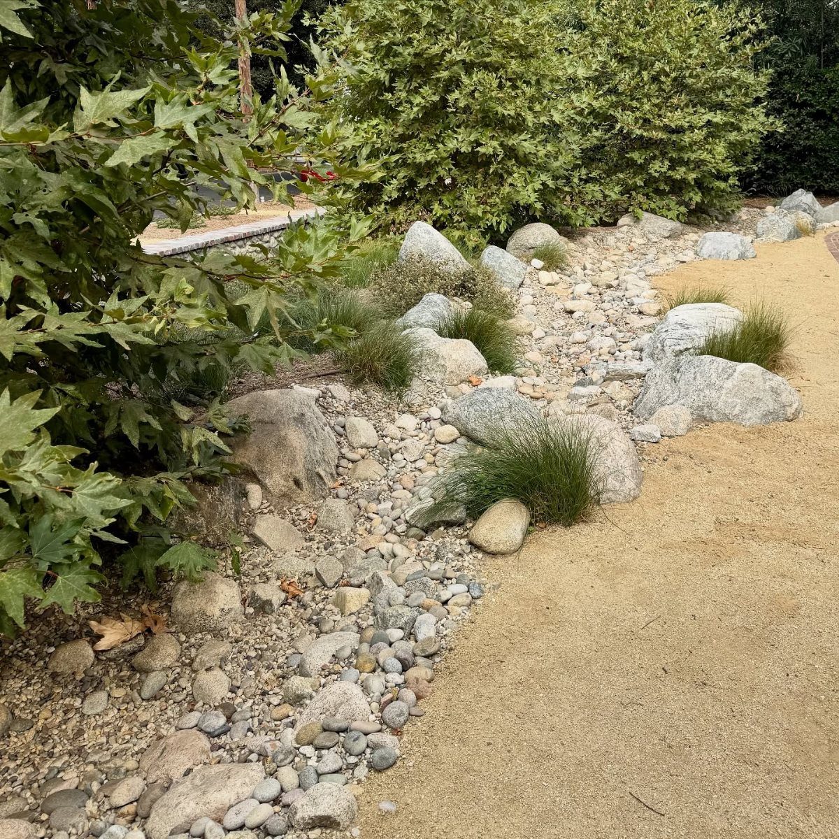 A winding dry creek bed filled with river rocks nestled between green bushes and a sandy path.