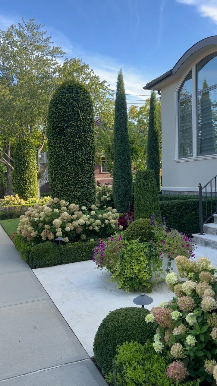 22 Flowers in Front of House Ideas for Curb Appeal 7 Tall conical evergreens and white hydrangeas arranged in a manicured garden with boxwood shrubs.