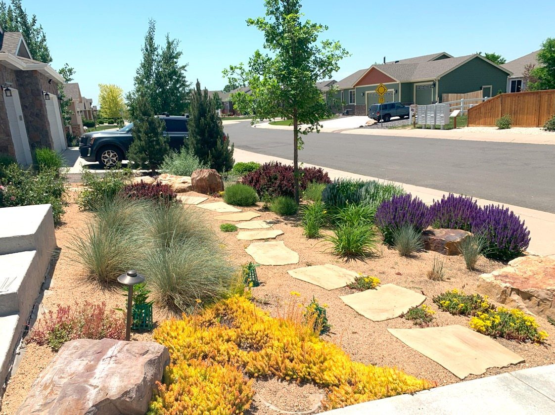 Drought-tolerant plants and stepping stones arranged in a landscaped front yard with tan gravel and rocks.