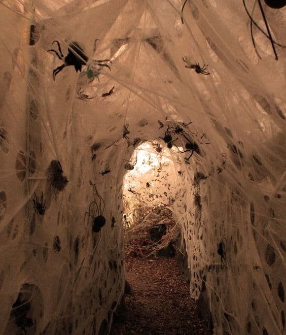 A spooky tunnel made of thick white spiderwebs covered in large black spiders.