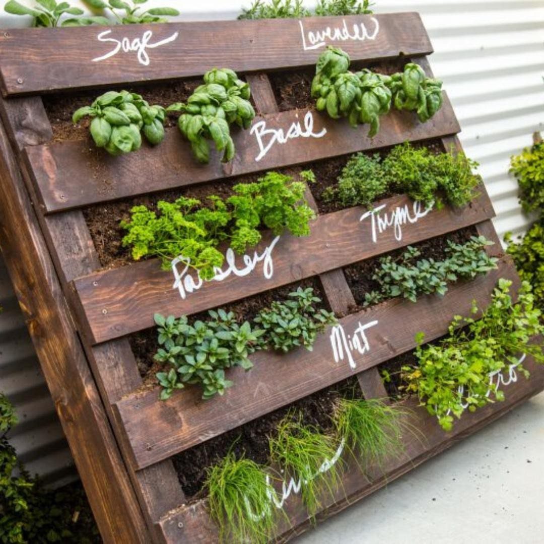 A vertical wooden pallet planter filled with various green herbs labeled with white chalk names.