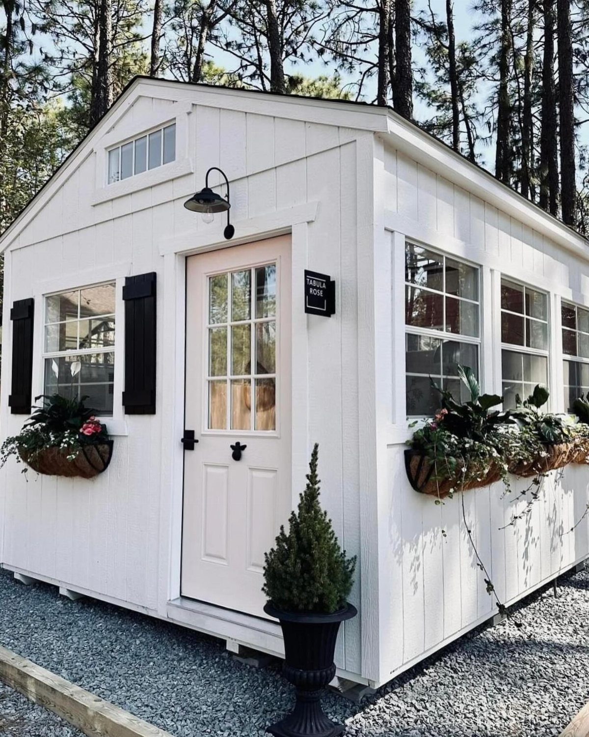 A white wooden garden shed with pink door and flowering window boxes under pine trees.